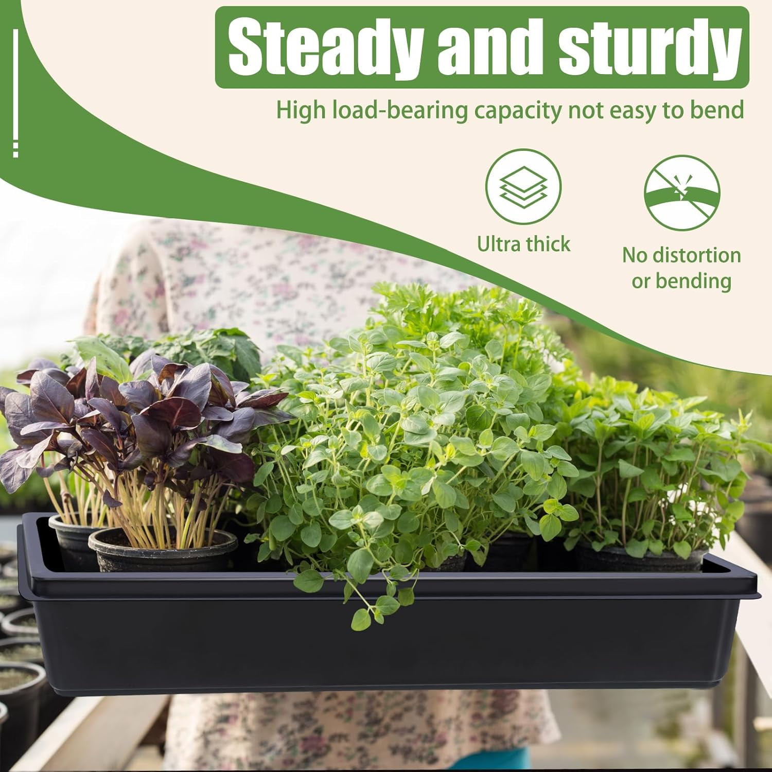 10 Pcs Seed Starter Tray Kit 1014 Seed Starting Trays Square Seedling Plant Tray Planting Sturdy Microgreens Growing Trays Reusable Germination Tray Indoors No Holes, 14x11x2.5In