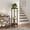Black Oak, variant on SUOERNUO Plant Stand Indoor Corner Tall 2 Tier Metal Modern Flower Storage Plant Shelf Holder for Living Room Balcony Garden,White