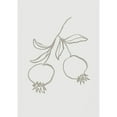 thumbnail image 3 of 1x Studio 11x14 Black Modern Framed Museum Art Print Titled - Pomegranate Green, 3 of 5