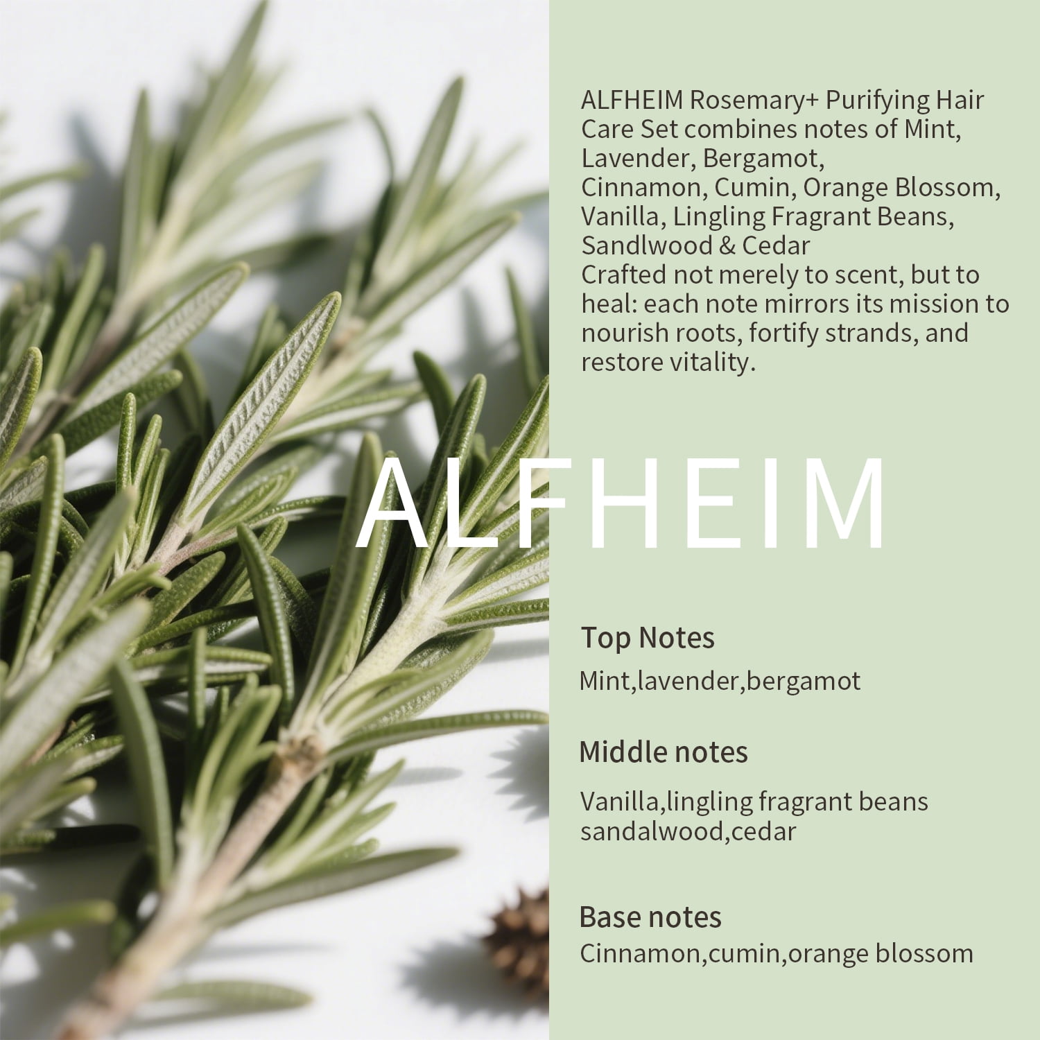 Alfheim Rosemary+ Complete Hair Care Set | Vegan 5-Step Scalp & Hair Ritual with Shampoo 10.7oz, Conditioner 10.7oz, Pre-Wash Oil, Leave-in Spray & Hair Mask