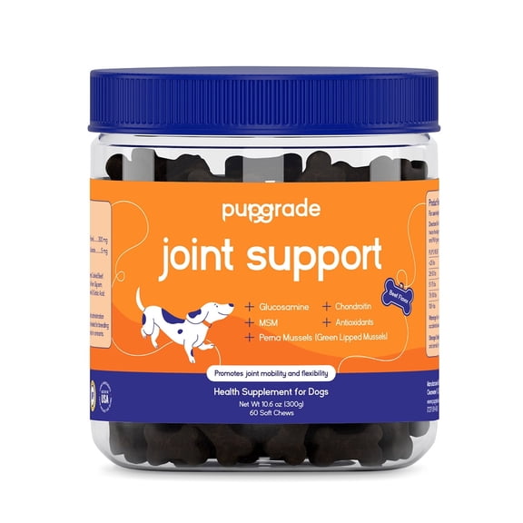 PupGrade Joint Support Soft Chews for Dogs with Perna, Glucosamine, Chondroitin, MSM - Beef Flavor, 60 Count