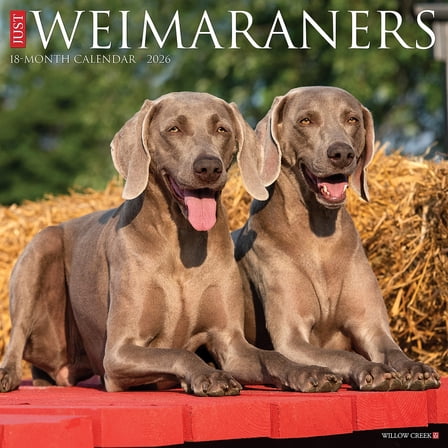 2026 Willow Creek Weimaraners 12" x 12" Monthly Wall Calendar (53119)