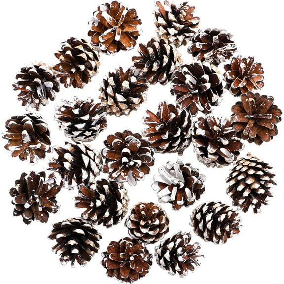 Topboutique 18 Pcs Christmas Pine Cones 1.57" Snow Tipped Natural Pine Cones Wood Frosted Pine Cone Ornaments for Christmas Tree Party Hanging Decoration (18 pcs)