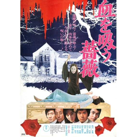 Evil Of Dracula Movie Poster 16in x 24in 16x24 Multi-Color Square Adults Western Graphic