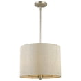 thumbnail image 2 of Acclaim Lighting - Daria - Three Light Pendant in Classic Style - 15 Inches Wide, 2 of 2