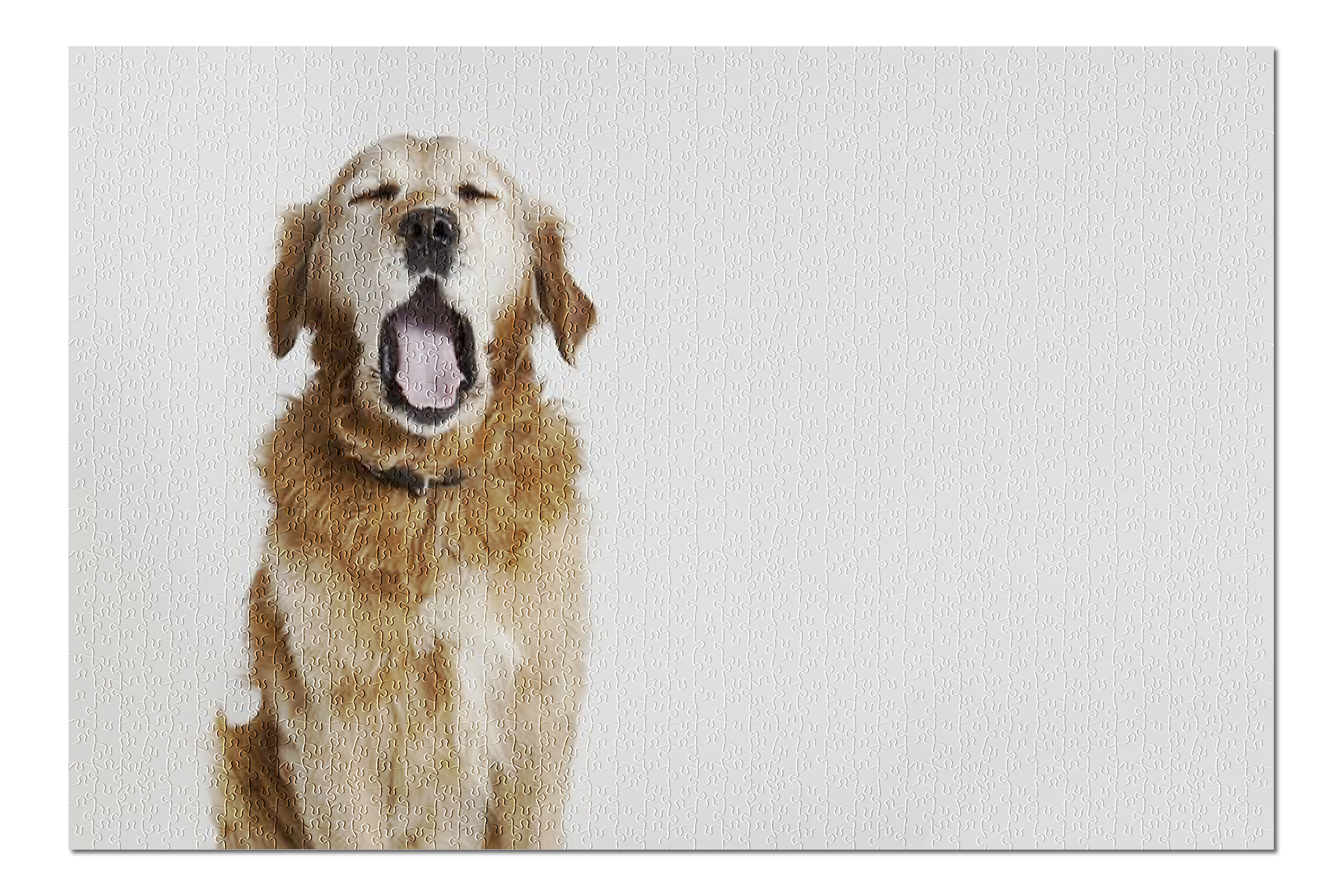 retriever lodge accessories