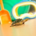 thumbnail image 6 of Safari Ltd. Green Sea Turtle Figurine - Realistic 3.58" Aquatic Figure - Educational Toy for Boys, Girls, and Kids Ages 3+, 6 of 6