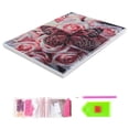 thumbnail image 2 of DIY diamante pintura con marco Kit 5D taladro completo dibujo arte artesanía para niños adolescentes adultos D9956 Vogacara HA001481-01B, 2 of 6