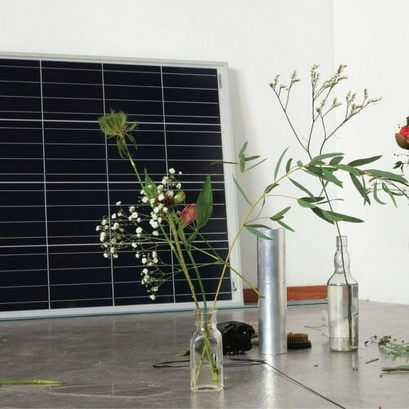 Marja Ahti - Still Lives - Music & Performance - Vinyl