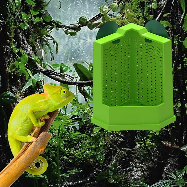 Wmhnj Comedero para reptiles con ventosa y escalera para lagartos, geckos y ranas; 2 tamaños disponibles, para colgar o colocar en terrario de vidrio, diseño a prueba de fugas con ventilacin.