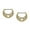 Gold, variant on Pair of Nipple Clickers 14G Filigree Design with Hollow Heart Center