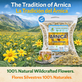 thumbnail image 2 of Arnica Montana Botanical Infusion - 4 oz (113g) - Authentic Dried Arnica Flowers (Pétalos de Árnica) - 100% Natural, Wildcrafted, Non-GMO & Vegan - Premium Herb for Topical Compresses & Traditional W, 2 of 9