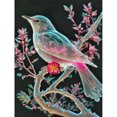 thumbnail image 1 of Pintura de diamante 5D DIY taladro redondo completo pájaro Kit arte decoración del hogar (B6096) Hugtrwg Para estrenar, 1 of 9