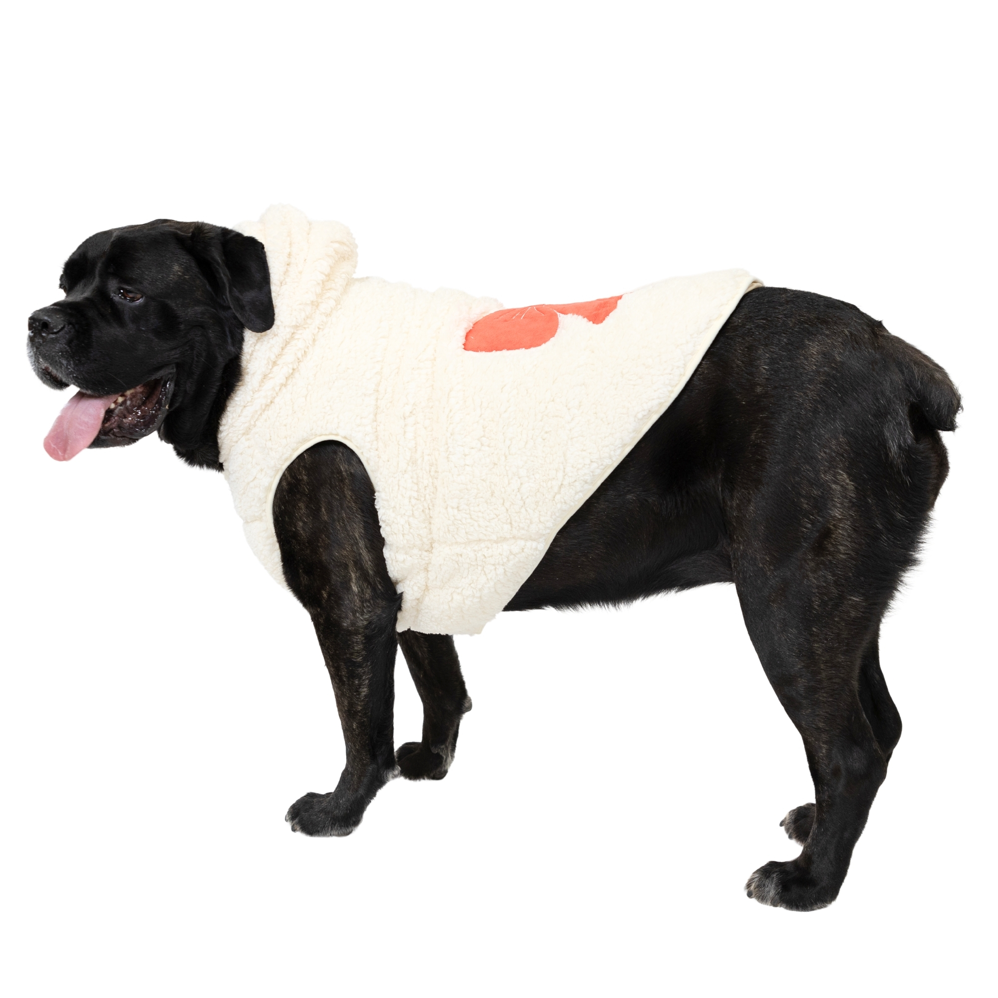Vibrant Life Winter Coat for Cats & Dogs, Sherpa with Pink Bow, White, Extra Large