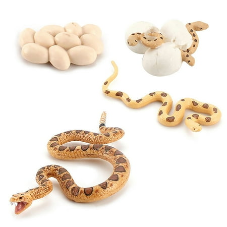 

Uposao Animal Growth Cycle Animal Doll Kit Life Cycle Teaching Tools Preschool Kit for Toddlers and Students Type 2