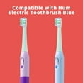 thumbnail image 3 of 12 Pack Replacement Toothbrush Heads Compatible with Colgate Hum Connected Smart Battery Toothbrush Refill Head, Teal, 3 of 6