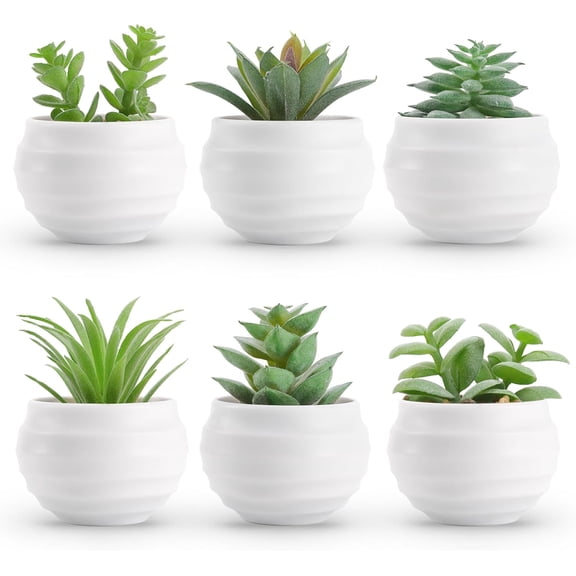 Set of 6 Succulents Plants Artificial in Pots Small Fake Plants for Bedroom Aesthetic Living Room Shelf Bathroom Decor Office Desk Accessories