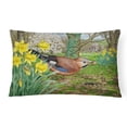 thumbnail image 1 of Carolines Treasures ASA2176PW1216 Jay Fabric Decorative Pillow, 1 of 3