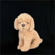 thumbnail image 2 of Realistic Plush Toy Dog Teddy Dog Plush Stuffed Animal For Kids, 2 of 4