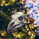thumbnail image 1 of ShinYu Halloween Crow Head Acrylic Disc Decorative Pendant, 1 of 1