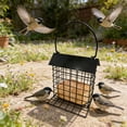 thumbnail image 6 of Suet Feeder for Outside Hanging, Metal Suet Cake Holder Squirrel Proof, Birds Metal Wild Bird Seed for Outside Feeders with Viewing Window for Garden Decor, 6 of 7