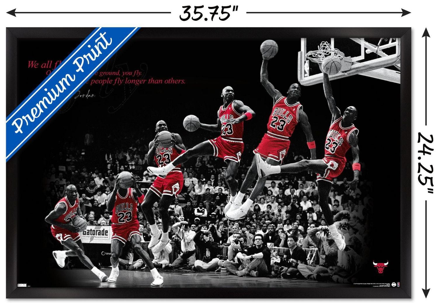Michael Jordan - Fly Wall Poster
