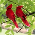 thumbnail image 3 of Mightlink Fake Bird 3D Embedded Eyes Realistic Appearance Hand-crafted Fine Workmanship Unfading Home Decoration Bright Color Red Velvet Foam Artificial Feather Bird for Office, 3 of 7