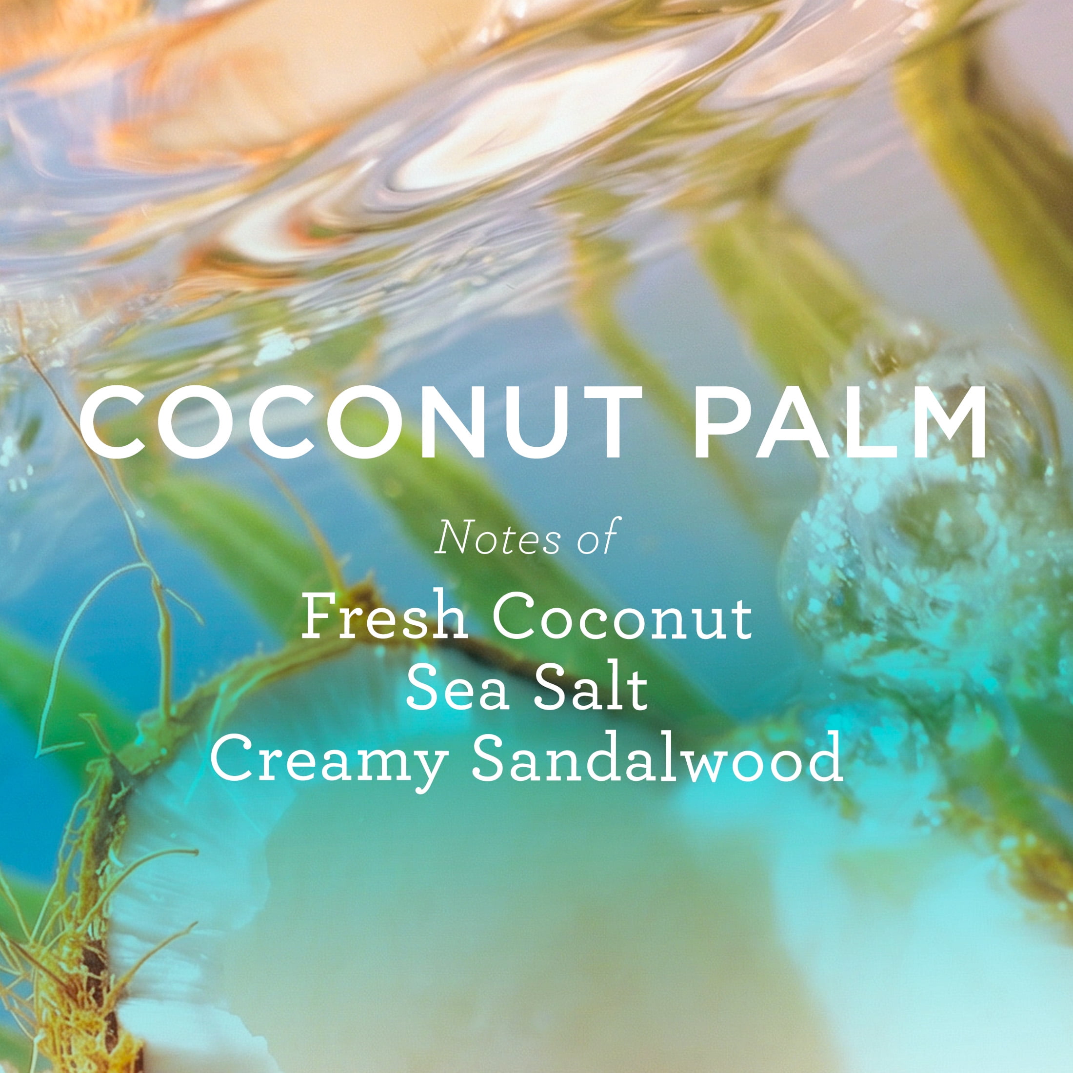 MIX:BAR Coconut Palm Body Wash with Vitamin E, 16fl oz