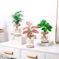 thumbnail image 2 of Transparent Flower Pot Hydroponic Automatic Water Absorption Plastic Flower Pot, 2 of 5