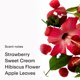 thumbnail image 3 of Perfume Body Mist PHLUR Berry Cream para cabello y cuerpo, 240 ml, para mujer, 3 of 7