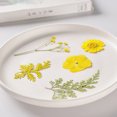 thumbnail image 1 of Paquete de material de flores secas para bricolaje accesorio de decoración artesanal hecho a mano (amarillo) JShteea Libre de BPA, 1 of 9
