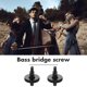 thumbnail image 5 of WORGEOUS 1 par de tornillos de puente de bajo doble, pieza de repuesto de instrumento de puente de bajo doble dividido, 5 of 7