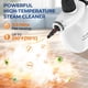 thumbnail image 3 of Limpiador a vapor portátil LABIGO, 13 unidades, 350 ml, 110 ℃, 1050 W, 3 of 9