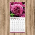 thumbnail image 6 of 2019 Flowers 12" x 12" January 2019-December 2019 Wall Calendar, 6 of 6