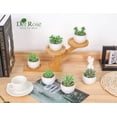 thumbnail image 6 of Der Rose 4.75" Artificial Succulents Plant in Pot (6 Count), 6 of 8