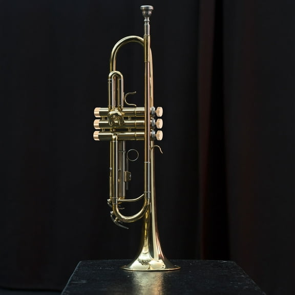 STRANDCHIC Golden Trumpet Valve Caps Set - Snap- Covers for Trumpet Players, Musical Instrument Accessories