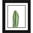 thumbnail image 1 of Shefranov, Olga 12x14 Black Ornate Wood Framed with Double Matting Museum Art Print Titled - Cactus III, 1 of 4