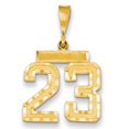 thumbnail image 1 of 14K Yellow Gold Polished Diamond Cut Finish Medium Size Number 23 Charm Pendant, 1 of 1