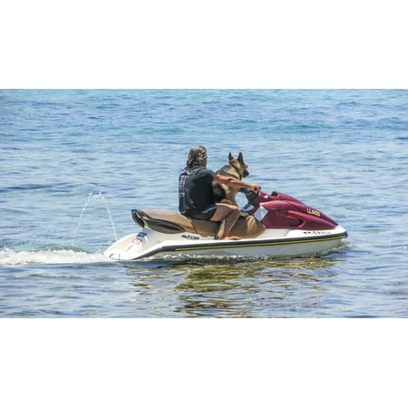 LAMINATED POSTER Best Friends Dog Summertime Jet Ski Funny Man Poster Print 24 x (Best Playboy Photos Of All Time)