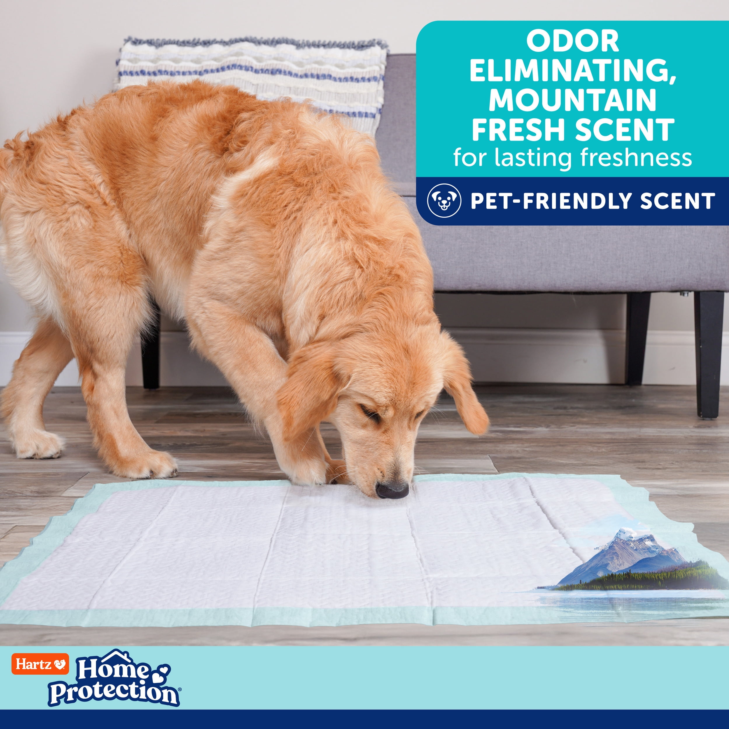 Hartz Home Protection Super Absorbent Odor Eliminating Mountain Fresh Scented No Leaks Dog Pads, 2XL, 30in x 30in, 20 Count