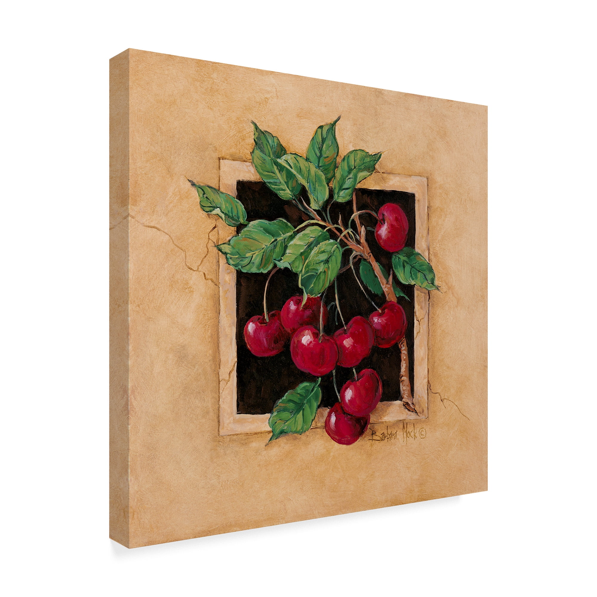Trademark Fine Art ' Cherry Square' Canvas Art by Barbara Mock
