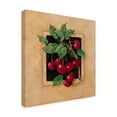 thumbnail image 2 of Trademark Fine Art ' Cherry Square' Canvas Art by Barbara Mock, 2 of 3