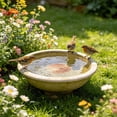 thumbnail image 1 of Outdor Copper Disc Bird Bath For Bird Feeders Brass Water Basin Cleaning Disk For Outdoor Bird Bath Bird Feeders For Outdoor Use Copper Bird Bath Cleaner With Protective Coating, 1 of 4