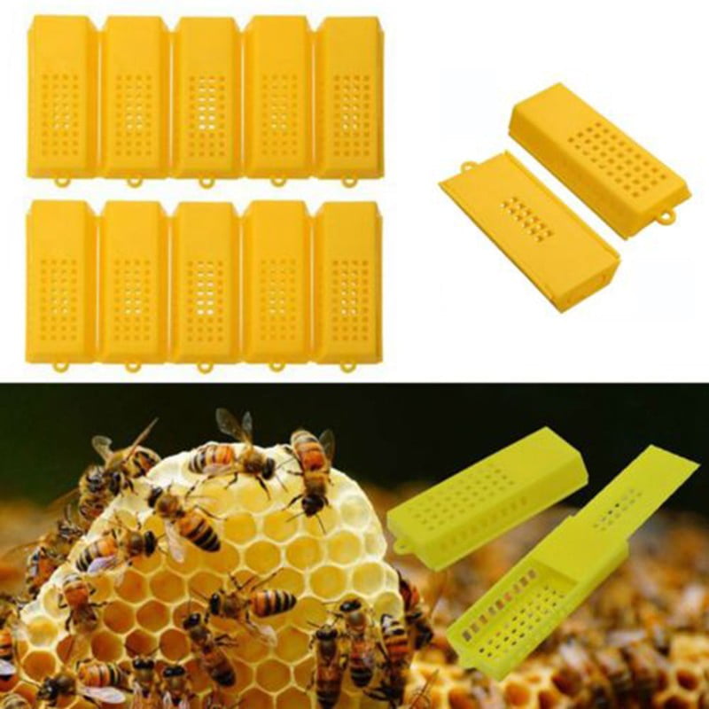 10Pcs Queen Bee Cage Plastic Travelling Moving Catcher Beekeeping Tool 