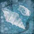 thumbnail image 2 of Grey, Jace 15x15 Gold Ornate Wood Framed with Double Matting Museum Art Print Titled - Shell Bubbles II, 2 of 4