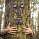 thumbnail image 3 of Cara de árbol estatua al aire libre anciano árbol abrazando corteza mueca decoración de rasgos faciales, 3 of 5
