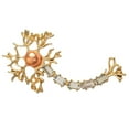thumbnail image 3 of 2 piezas de broche de tejido nervioso accesorios de ropa de enfermera Yinane Broche de tejido nervioso, 3 of 8