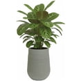 thumbnail image 1 of Maceta Grande Elly Decor 50.8 x 39 cm Con Drenaje Color Gris, 1 of 6