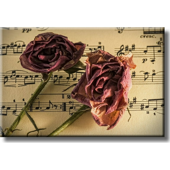 Music and Roses, Music Notes Picture on Stretched Canvas, Wall Art Décor, Ready to Hang