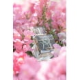 thumbnail image 4 of ARGOS POUR HOMME by Argos , EAU DE PARFUM SPRAY 3.4 OZ, 4 of 8